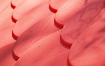 Ynys Tachwedd plastic roof costs